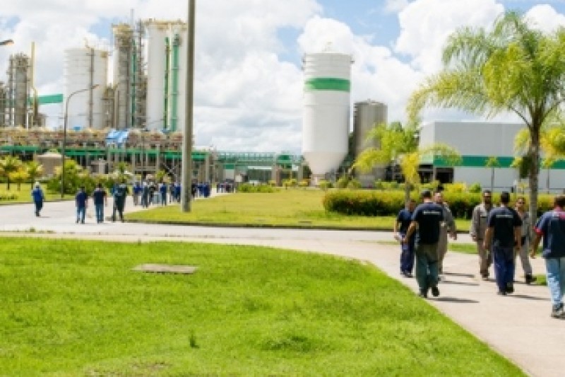 Foto: Reprodução / Rastro-101